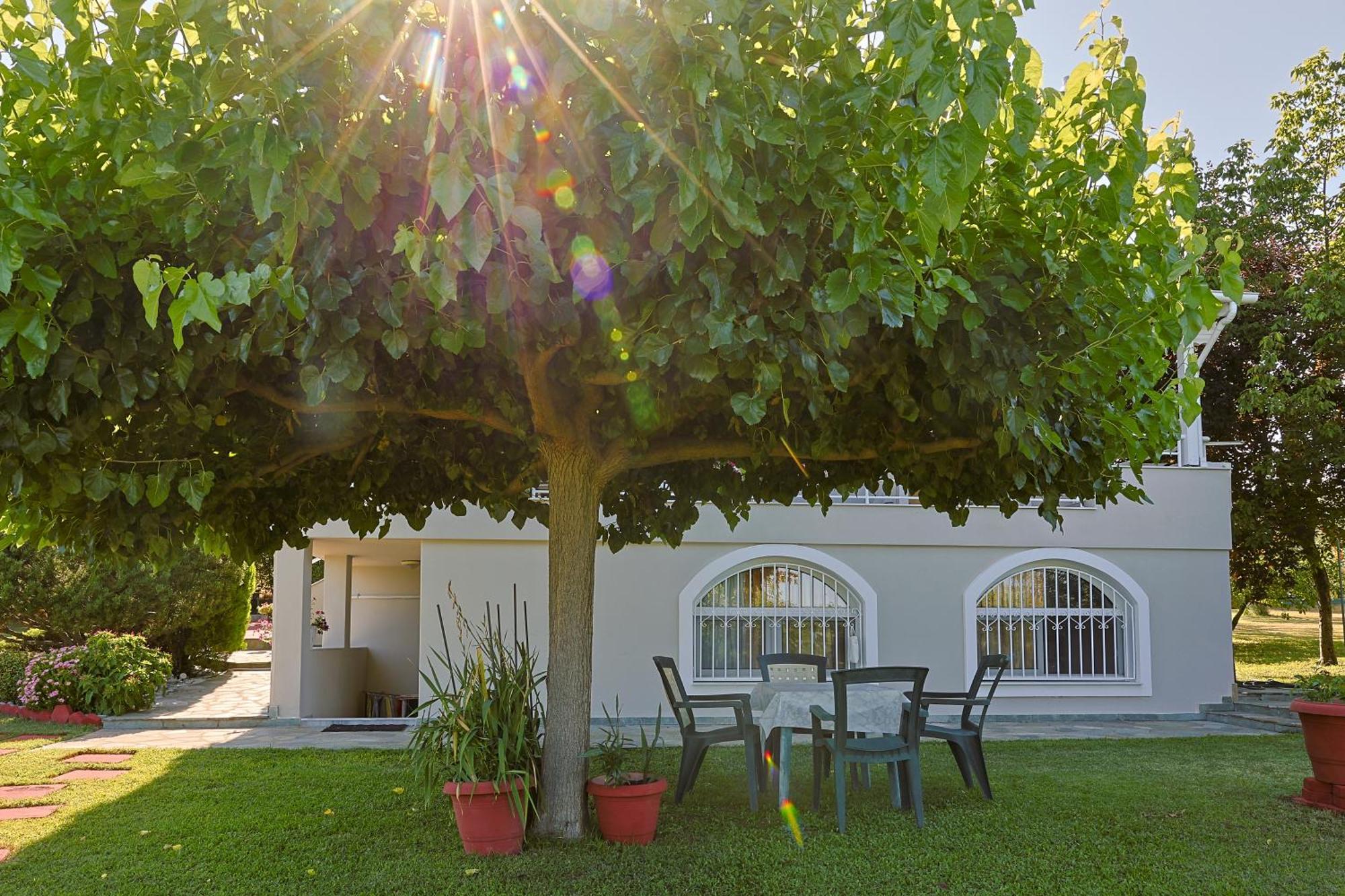 Villa Tammy'S Garden House Leptokarya  Exterior foto