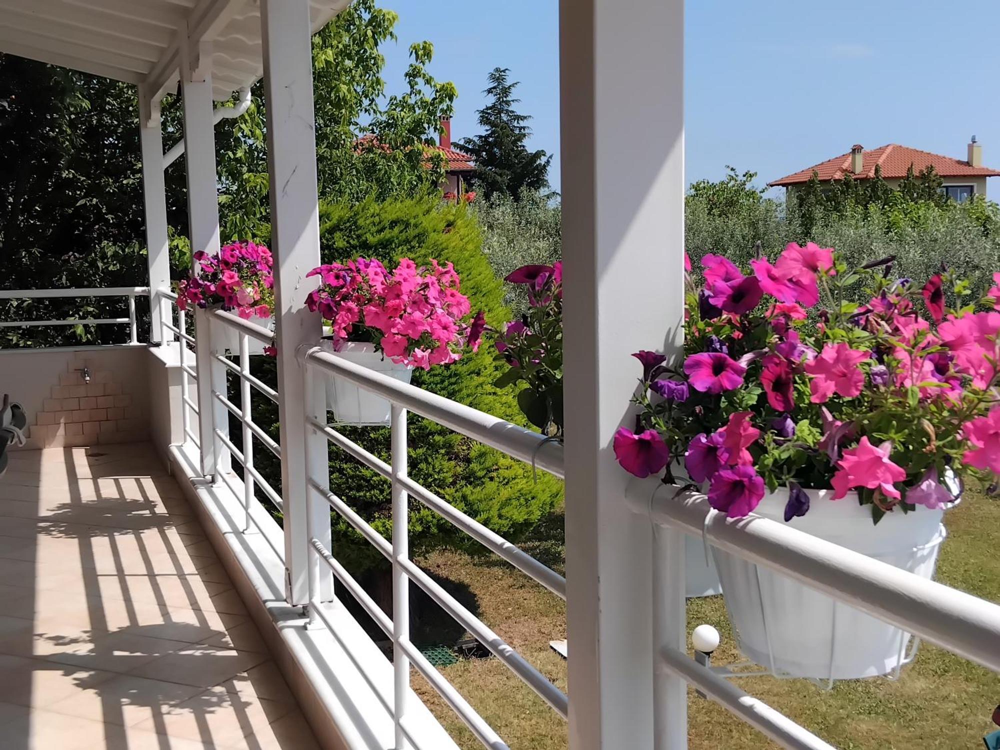 Villa Tammy'S Garden House Leptokarya  Exterior foto
