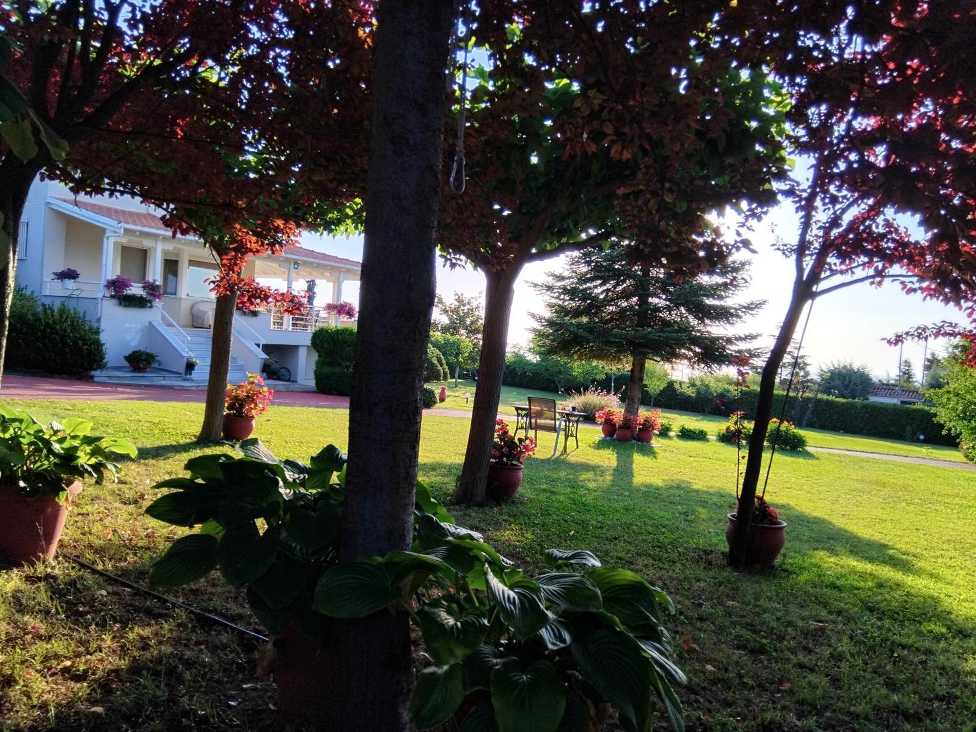 Villa Tammy'S Garden House Leptokarya  Exterior foto