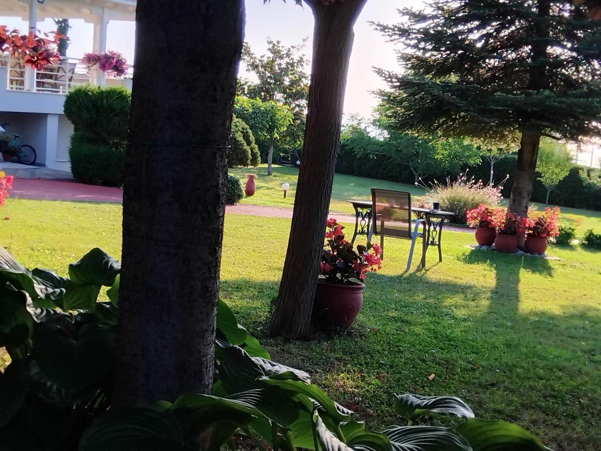 Villa Tammy'S Garden House Leptokarya  Exterior foto